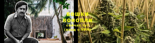 твердый Дмитровск