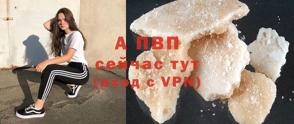 твердый Дмитровск