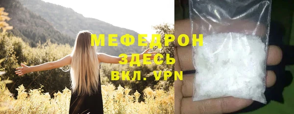 твердый Дмитровск