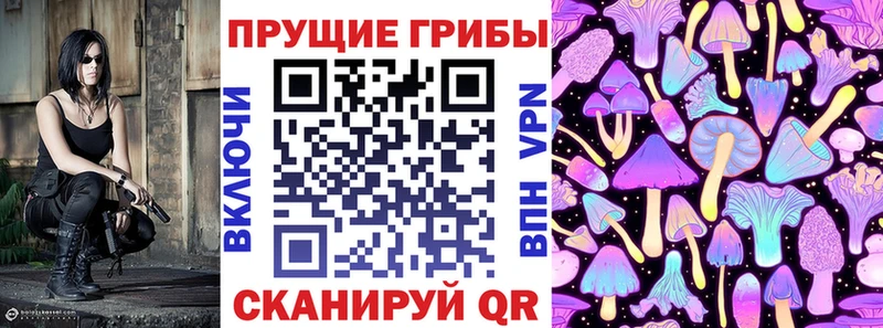 shop Telegram Грайворон mega Псилоцибиновые грибы прущие грибы даркнет сайт